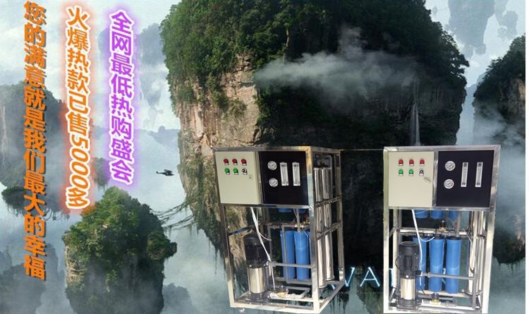 0.25/0.5T反滲透水處理設(shè)備簡易機(jī)